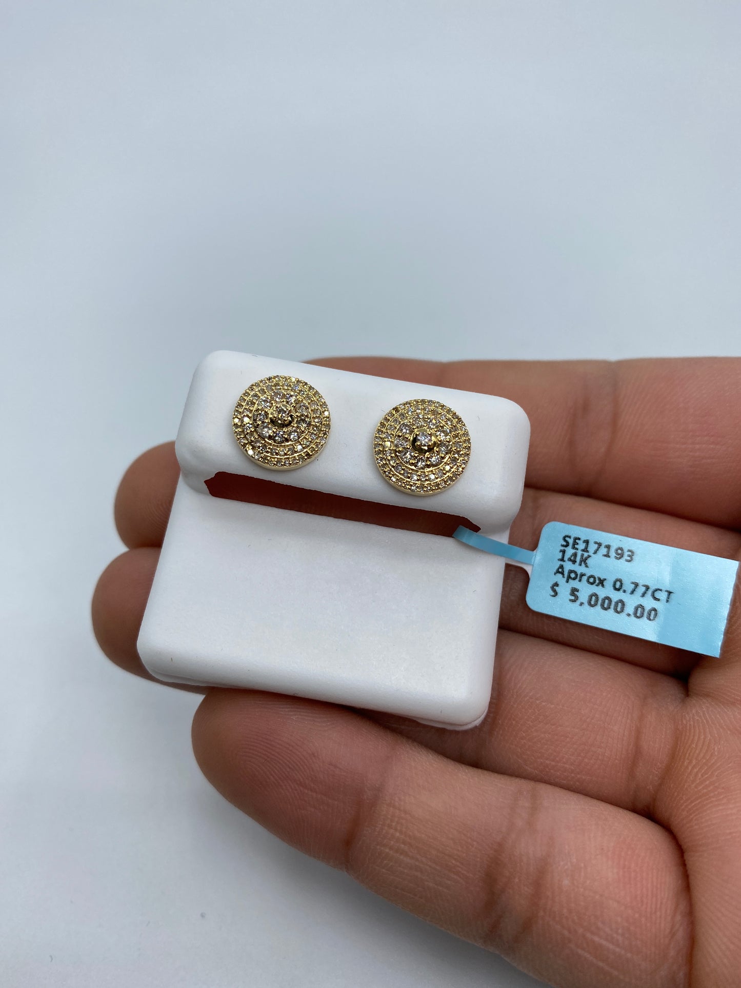 Circle Flat Earrings